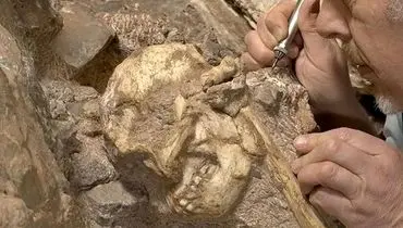 کشف فسیل ۳ میلیون ساله؛ خویشاوند ناشناخته انسان + عکس