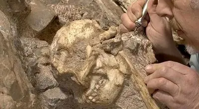 کشف فسیل ۳ میلیون ساله؛ خویشاوند ناشناخته انسان + عکس