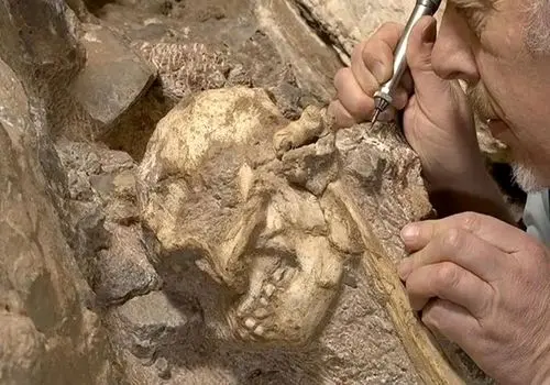 کشف فسیل ۳ میلیون ساله؛ خویشاوند ناشناخته انسان + عکس