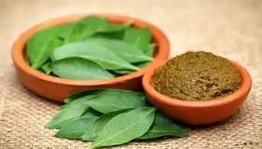 تمام فواید و خواص حنا را برای درمان و زیبایی بشناسید