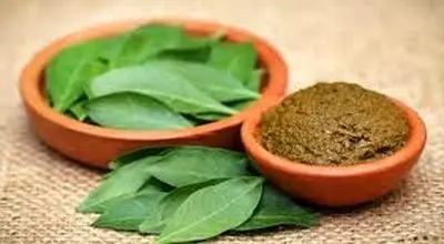 تمام فواید و خواص حنا را برای درمان و زیبایی بشناسید