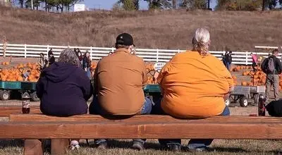 ویژگی‌های فیزیکی هر تیپ بدنی 