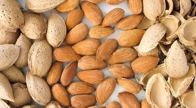 تاثیر عجیب بادام بر درمان سرماخوردگی
