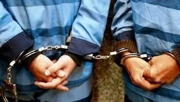 دستگیری ۲ نفر از عوامل گروهک‌های تروریستی در سیستان 
