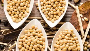  سویا و آجیل سویا چه تفاوتی دارند؟
