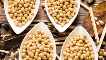  سویا و آجیل سویا چه تفاوتی دارند؟
