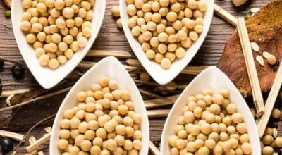  سویا و آجیل سویا چه تفاوتی دارند؟
