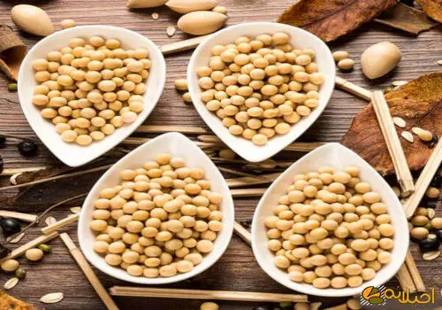  سویا و آجیل سویا چه تفاوتی دارند؟
