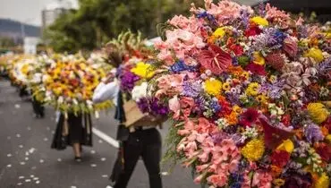 رژه گل فروشان در جشنواره گل کلمبیا+ فیلم