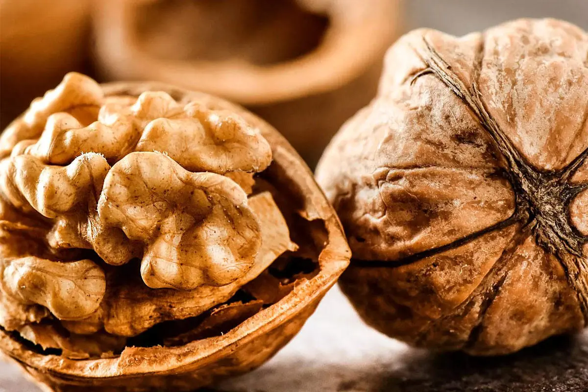 قدرت مغز گردو برای سلامتی را دست‌کم نگیرید
