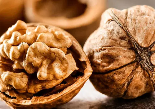 خوردن گردوهای سیاه خطرناک است؟
