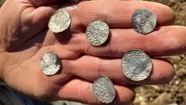 کشف بزرگترین گنج نروژ از دل خاک یک مزرعه + تصاویر