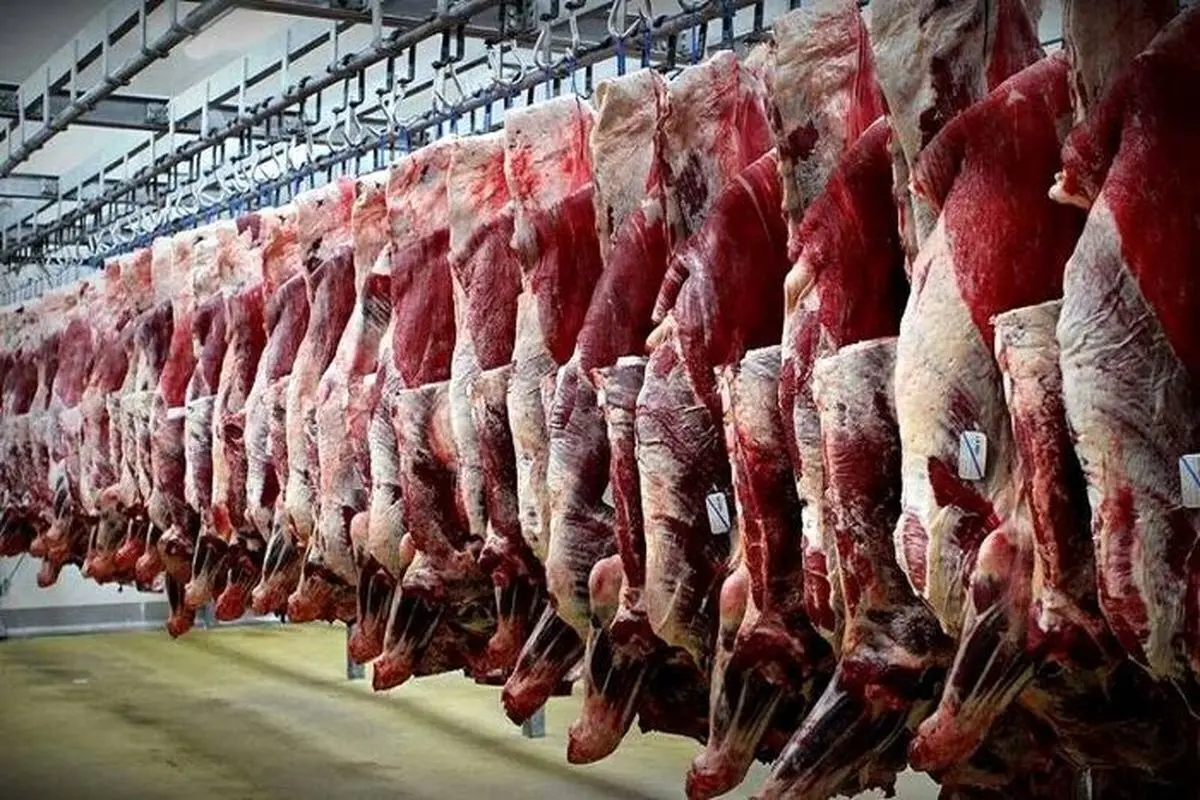 ببینید کارخانه های چینی چگونه گوشت الاغ تولید می کنند؟+ فیلم