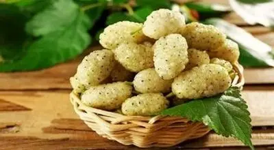 با خوردن این میوه افسرده نمی‌شوید
