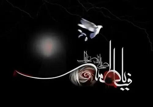 اولین واکنش حامد کاشانی به فحاشی برخی مداحان به سلیمانی اردستانی