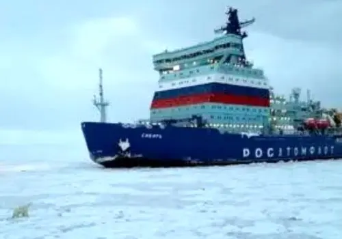 خرس قطبی برای پیدا کردن غذا سوار کشتی اتمی شد!/ویدیو 