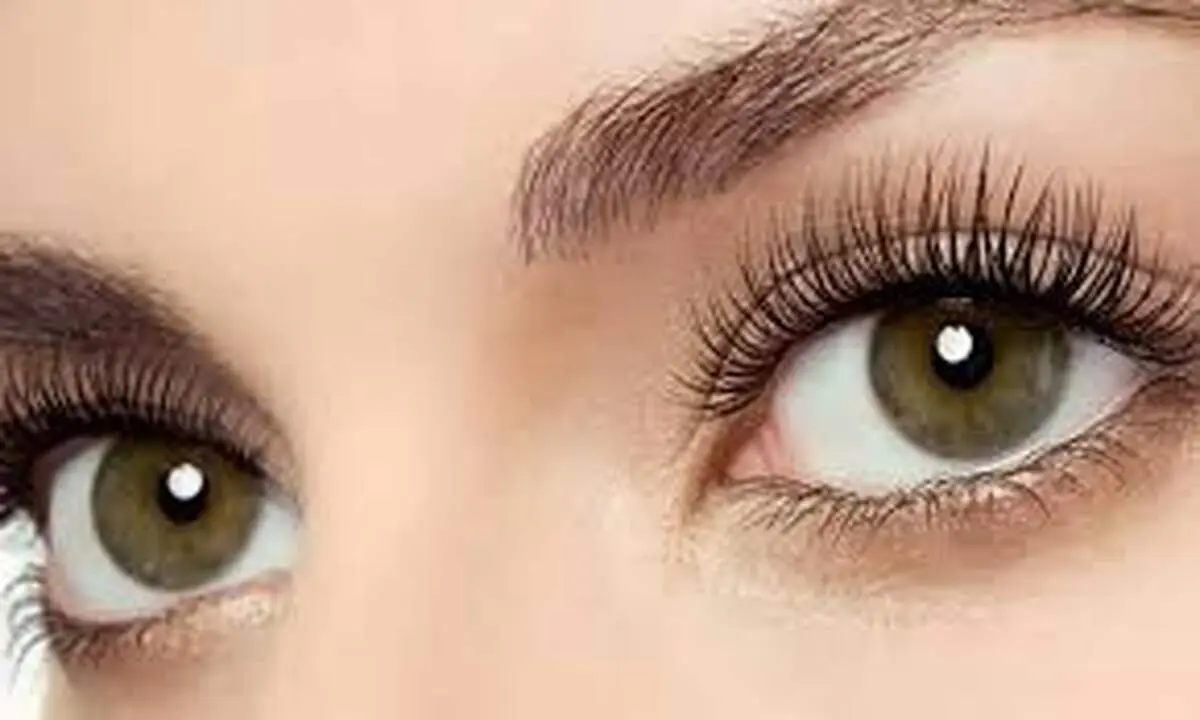 لیفت و لمینت مژه چیست و چگونه برای چه افرادی انجام می شود؟ 