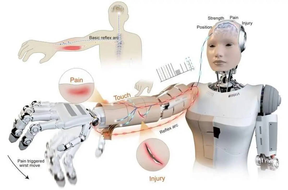 پوست هوشمند خطر را دور می‌کند
