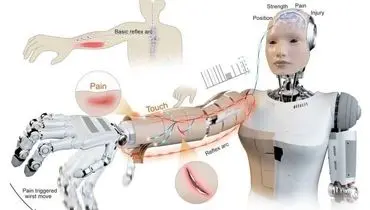 پوست هوشمند خطر را دور می‌کند
