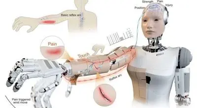 پوست هوشمند خطر را دور می‌کند
