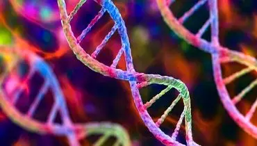 آیا ژنتیک پادشاه طول عمر است؟