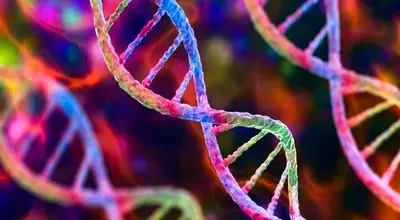 آیا ژنتیک پادشاه طول عمر است؟