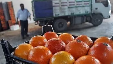 واکنش سازمان غذا و دارو به فیلم رنگ کردن پرتقال‌ها