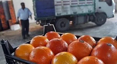 واکنش سازمان غذا و دارو به فیلم رنگ کردن پرتقال‌ها