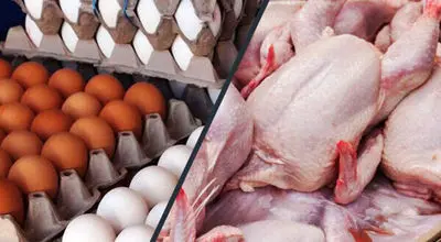 قیمت جدید مرغ و تخم‌ مرغ بعد از کالابرگ اعلام شد
