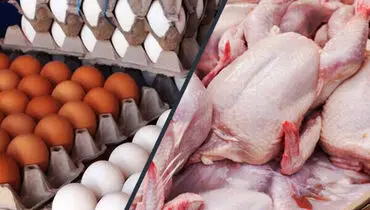 واکنش مهاجرانی به عجیب شدن قیمت مرغ و تخم‌مرغ 