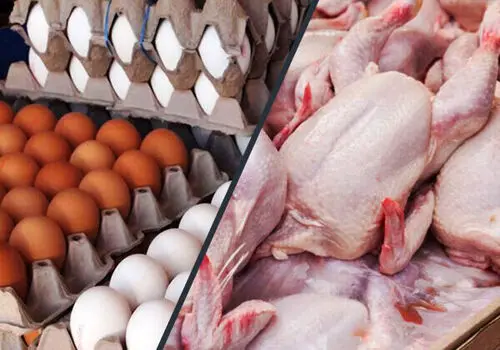 آخرین نرخ کالاهای اساسی در بازار امروز ۱ اردیبهشت ۱۴۰۵/گوشت و مرغ چندشد؟