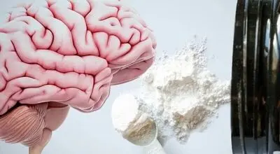 مکمل محبوب ورزشکاران چه تأثیری بر مغز دارد؟