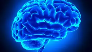 اندوه از مغز شروع می شود
