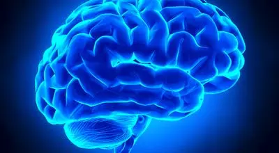 اندوه از مغز شروع می شود
