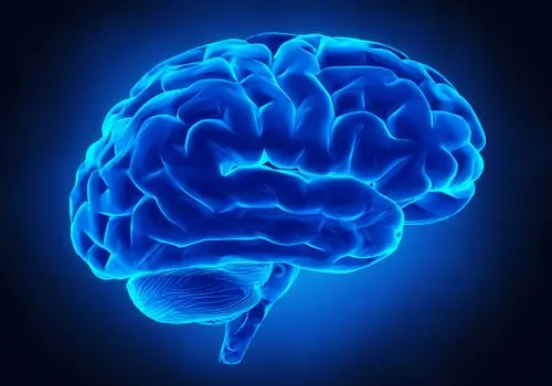 حس انجام هیچ کاری را ندارید؟ این مطلب را حتما بخوانید
