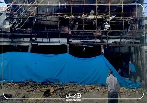 قلب خود را با این ماده مغذی بیمه کنید