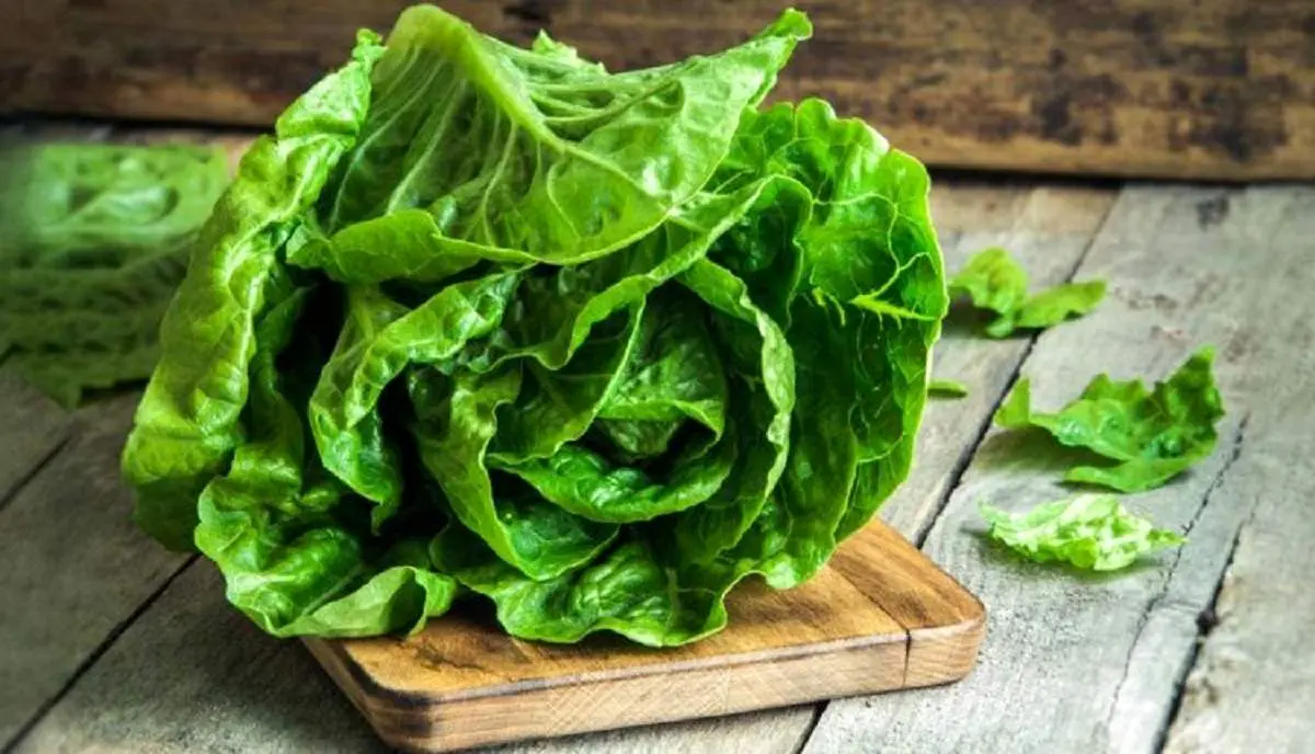 فواید و مضرات کاهو چیست ؛ خواص کاهو برای لاغری، سلامتی و پوست
