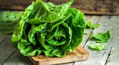 فواید و مضرات کاهو چیست ؛ خواص کاهو برای لاغری، سلامتی و پوست
