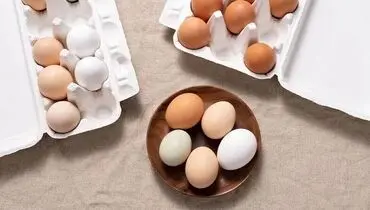  تخم‌مرغ تازه را با این ترفند‌ها به‌ درستی نگهداری کنید