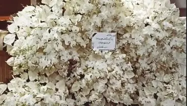 زیباترین و خفن ترین پایه گل ایران+ فیلم
