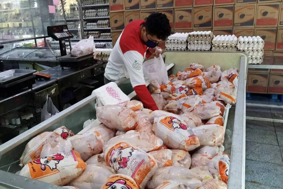 قیمت مرغ بالاتر از ۸۰ هزار تومان تخلف است