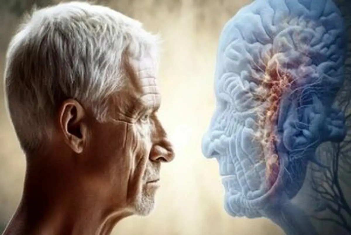 این عادت مغز را جوان نگه میدارد