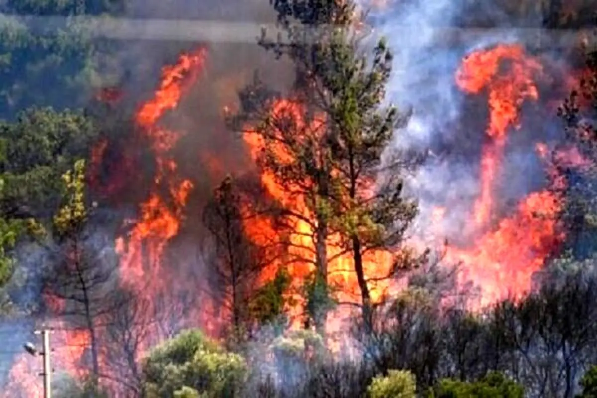 آتش به جان جنگل های سیاهکل و رودبار افتاد 