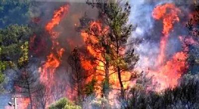 آتش به جان جنگل های سیاهکل و رودبار افتاد 