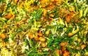 طرز تهیه شوید لوبیا پلو خوشمزه و مجلسی