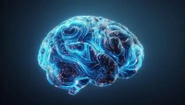 عادت‌های سالم که مغز را تا ۸ سال جوان‌تر می‌کنند