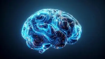 عادت‌های سالم که مغز را تا ۸ سال جوان‌تر می‌کنند