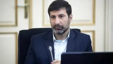 طرح «تشدید مجازات جاسوسی و همکاری با رژیم صهیونیستی و کشور‌های متخاصم علیه امنیت و منافع ملی» برای رفع برخی ابهامات به مجلس برگشت داده شد
