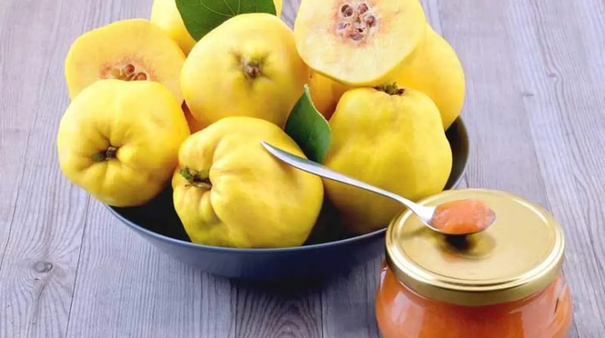 درباره خواص، مضرات و طبع میوه به
