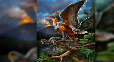 فسیل قدیمی ترین پرنده جهان در چین کشف شد